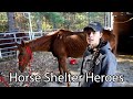 Horse Shelter Heroes - Episode 44 - Oct 29 - Nov 5