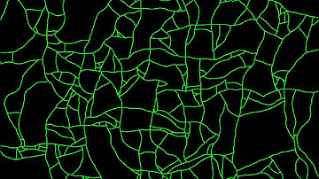 Procedural Road Network - Experiment 14