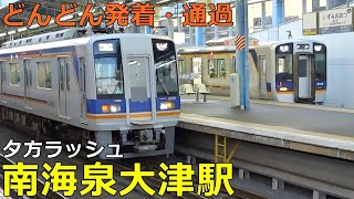Nankai Izumiotsu Station🚃Trains arrive and depart and pass by! ● Evening Rush Nankai Main Line