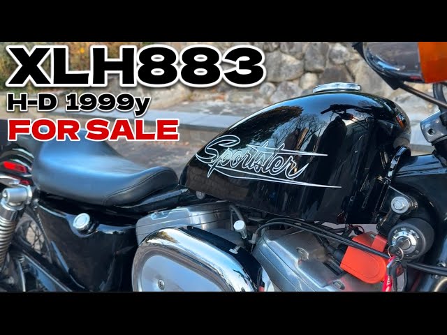 アオシマハーレーコヨーテ激レア入手困難 FOR SALE】世界1有名な883は、激遅だった？【スポーツスター