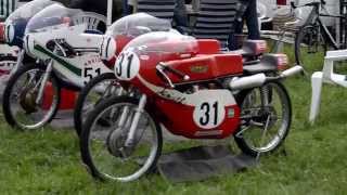 Classic Demo Holten 2014
