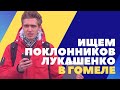 Пробуем найти те самые 80% за Луку // Гомель // Уличный опрос одним дублем