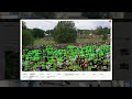 AI Based Crowd Detection & Analytics | Real-Time Crowd Monitoring System