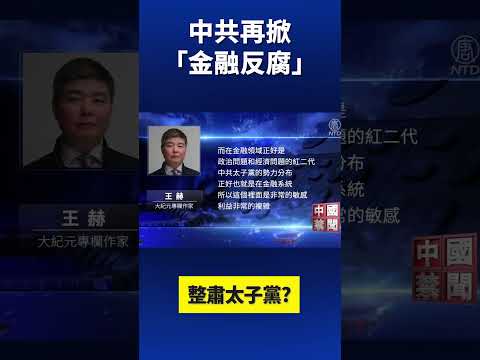 整肃太子党  中共再掀“金融反腐”