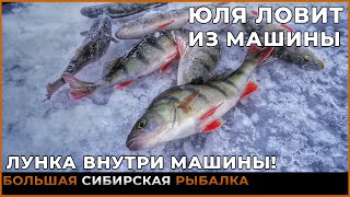 Лунка прямо в машине! Ловля окуня зимой на Гусином озере.