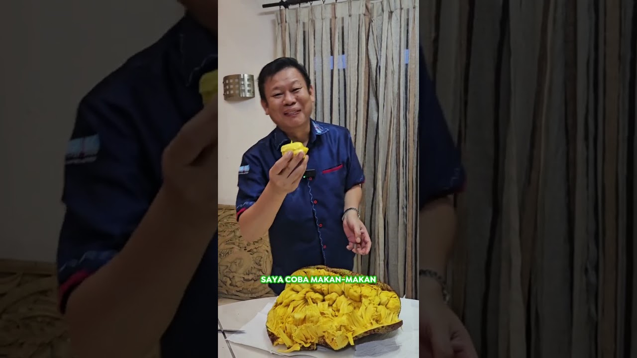Cempedak King langsung dari Solo, super besar dan super manis!😍 Satu buah aja kebanyakan 🥰🥰🥰
