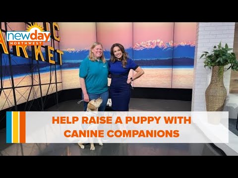 Help raise a puppy with Canine Companions - New Day NW