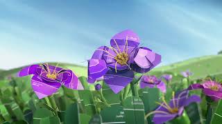 Color Portal: Discover Color Animated TV Commercial :15 -- Sherwin-Williams