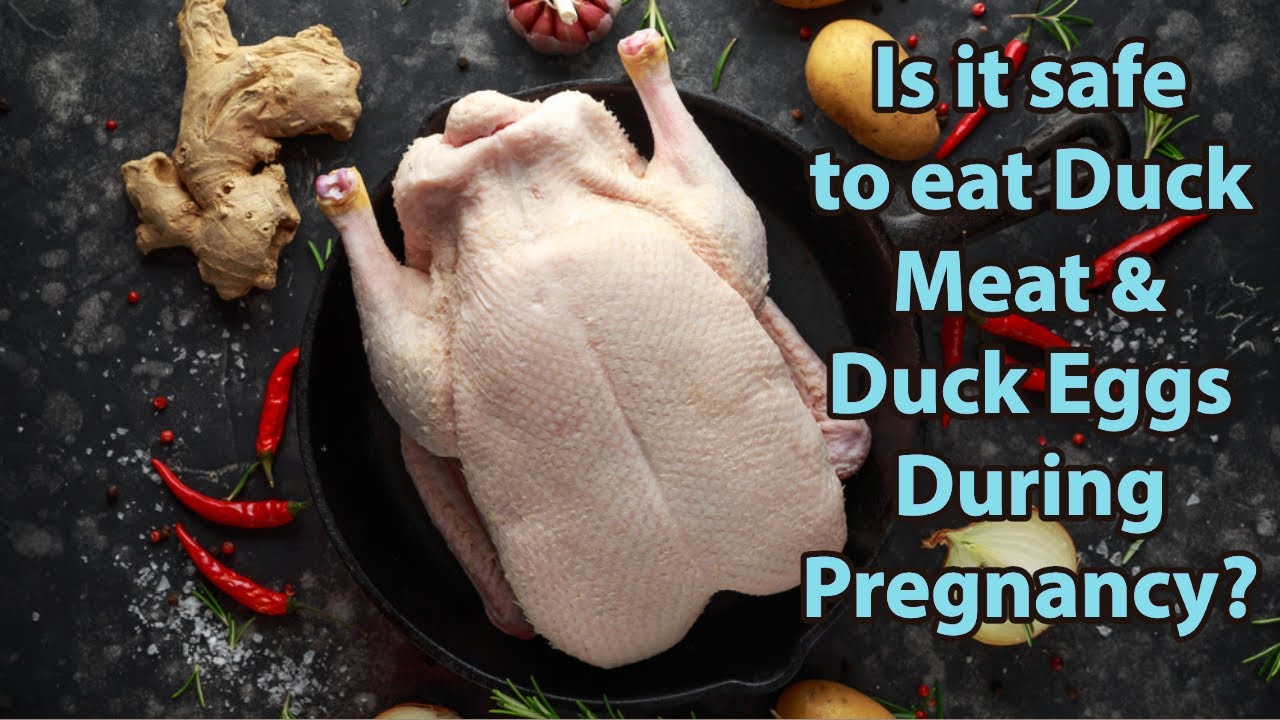 Duck Meat and Duck Eggs during pregnancy Safe or Unsafe Benefits of
