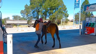 Ventersdorp with a horse rider at the filling station