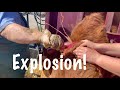 Explosion hits veterinarian