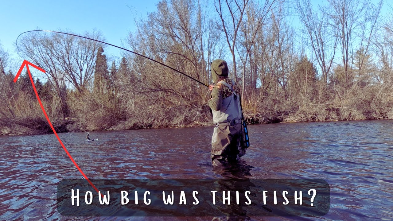 Nonstop Trout Action on a Fishing Rod you MUST See to Believe (21 FEET  LONG!!!) 