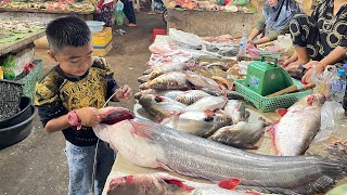 Amazing cooking skills, Chef Seyhak buy big fish for cooking - Countryside life TV