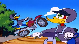 Pica-Pau Adora Motocross! 🛞 | Pica-Pau em Português