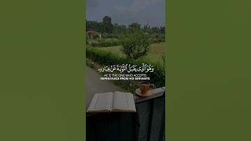 و هو الذي يقبل التوبة عن عباده #القرآن_الكريم #quran #راحة_نفسية #تلاوات #آيات #تجويد