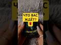 ЧТО ВАС ЖДЁТ? Гадание на будущие события #будущее #события #оракул