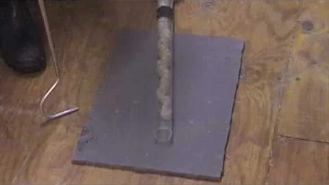 Uracoan Rattlesnake (Crotalus  vegrandis) venom extraction at KRZ