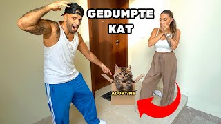 Wij Vinden Een Gedumpte Kat Voor Onze Deur