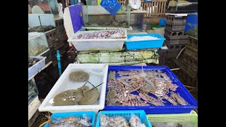 Walking and Eating at Rawai Seafood Market, Phuket, Thailand🇹🇭