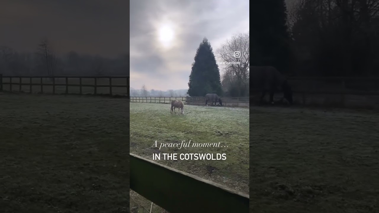 A quiet moment in the 