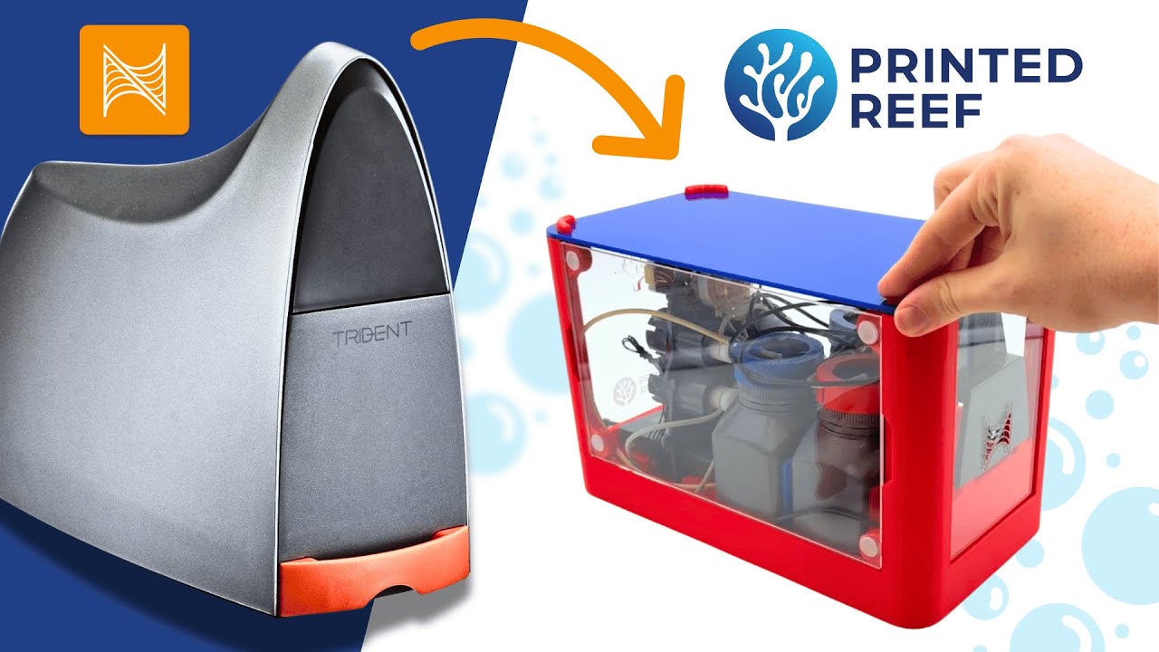 How to Disassemble a Neptune Systems Trident | Full Setup Guide