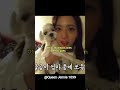 meanwhile Lisa 🤣 #trending #viral #Shorts #lisa #funny #million #views