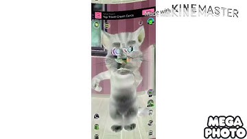 Talking Tom no no effects