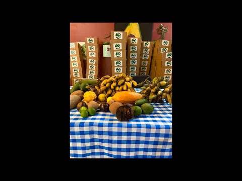 2026 Mango Crop Update ￼