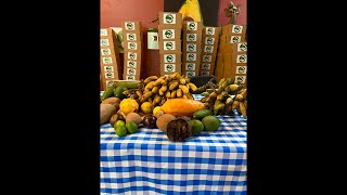 2026 Mango Crop Update ￼