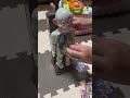 入れる場所を間違えたらとんでもないことに… #人体模型