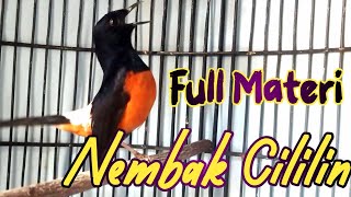 Download Lagu PANCINGAN MURAI BATU GACOR FULL ISIAN SANGAR, SEKALI DENGAR MURAI APAPUN RESPON NEMBAK MATERI SREM MP3 Download Lagu PANCINGAN MURAI BATU GACOR FULL ISIAN SANGAR, SEKALI DENGAR MURAI APAPUN RESPON NEMBAK MATERI SREM MP3