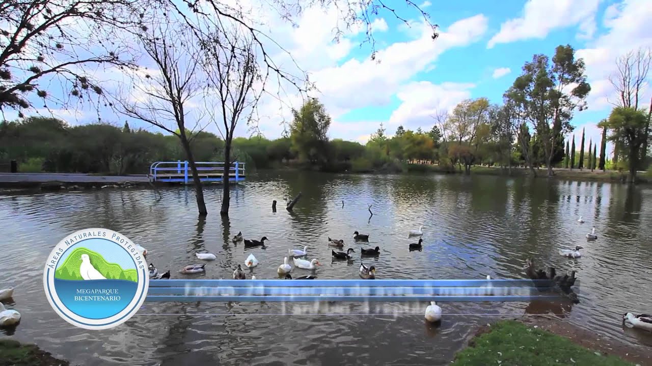 MEGA PARQUE BICENTENARIO - YouTube