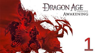 Прохождение Dragon Age: Origins DLC Awakening - Максимальная сложность - 100% - Часть 1
