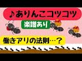 【ありんこコツコツ】(楽譜あり)  |  2:6:2の法則