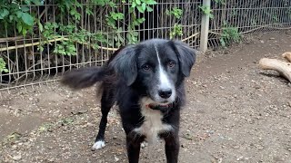 Tierschutz Wörrstadt