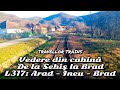 De la Sebiș la Brad (Linia 317: Arad - Ineu - Brad) [Cab-view]