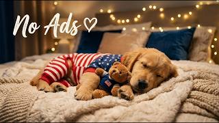 Download Lagu 10 Hours of Deep Sleep Music for Dogs 🐶🍁Soothing Melodies Stress Relief & Puppy Calm🎶Relaxation🐾 Download Lagu 10 Hours of Deep Sleep Music for Dogs 🐶🍁Soothing Melodies Stress Relief & Puppy Calm🎶Relaxation🐾