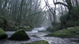 Ghost caught on camera in daylight on a Scottish river.