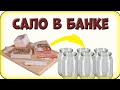 Сало в рассоле. Сало в банке