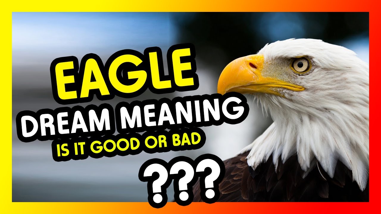 Eagle Dream Meaning (What does it mean to dream about EAGLE???) YouTube
