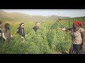 Strain Hunters South Africa Expedition - Episode 1