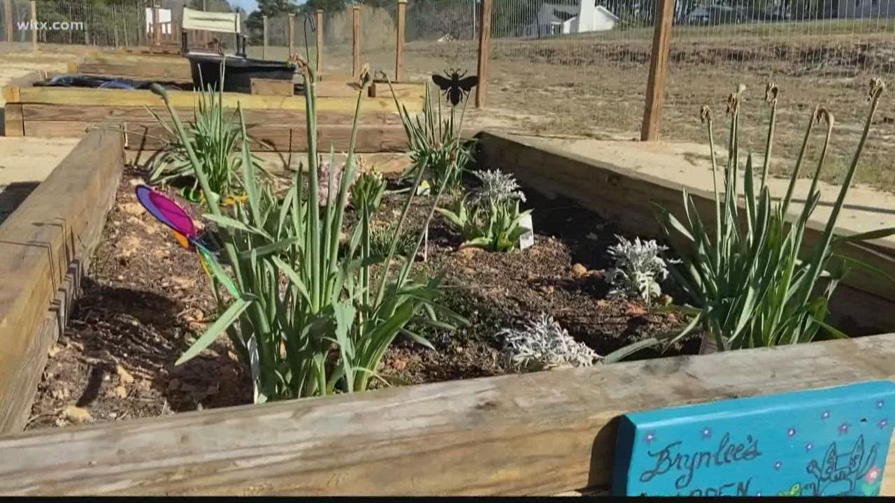 A community garden in South Carolina is helping to provide food for those in need