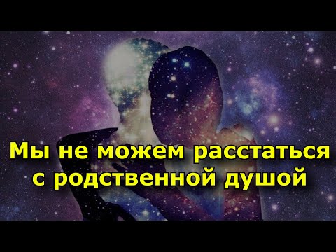 Мы Не Можем Расстаться С Родственной Душой.