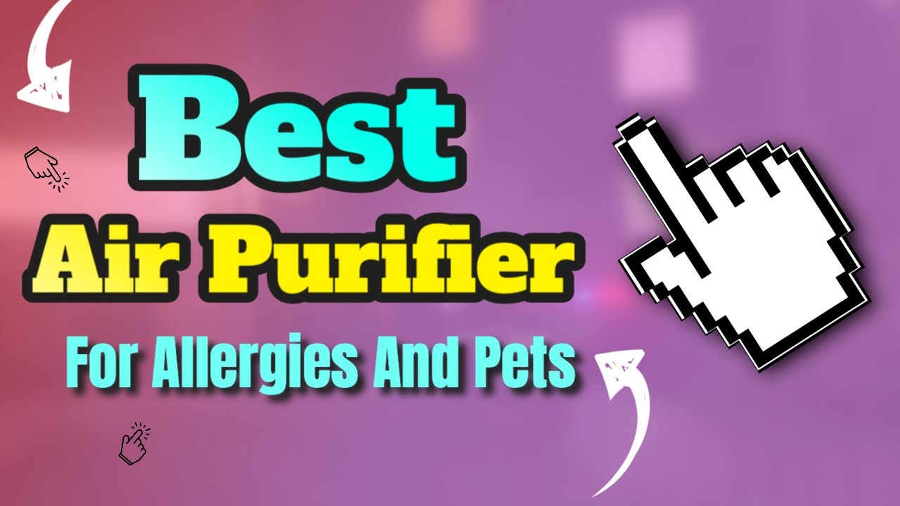 Best Air Purifier Best Air Purifier For Allergies And Pets Honest Video