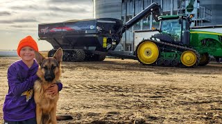 Our First Day of Harvest 2019!