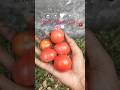 mini vlog #dailyvlog #shortvideo #love #vlog