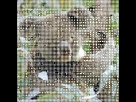 Koalas to the Max dot Com - YouTube