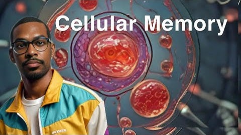 What Is Cellular Memory?