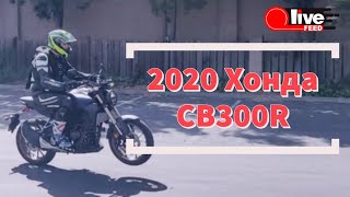 Хонда CB300R 2020 года / 2020 Honda CB300R — Честный обзор и оценка