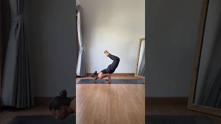 Middle Splits To Scorpion Chinstand